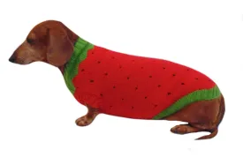 Knitted sweater strawberry for dogs, clothes for dachshunds